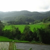 View of rice field on way to Doi Inthanon National Park