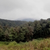 View from road on route to the summit of Doi Inthanon