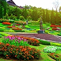 The mountanous city and flowery land 3 Days 2 Nights Chiang Rai trip